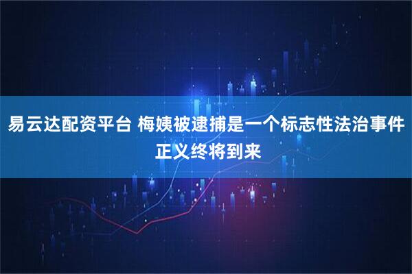 易云达配资平台 梅姨被逮捕是一个标志性法治事件 正义终将到来