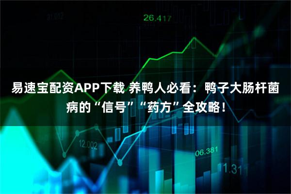 易速宝配资APP下载 养鸭人必看：鸭子大肠杆菌病的“信号”“药方”全攻略！